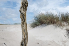 Frau am Strand_Sabine BIRKE_ART-WORK_130x25_221f3c01-a764-4dba-9771-1d89cac38a23